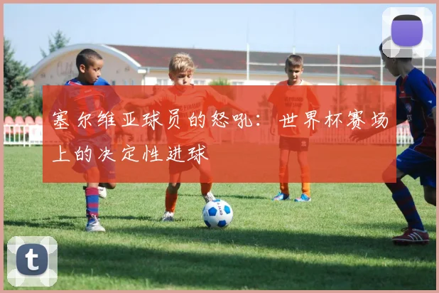 塞尔维亚球员的怒吼：世界杯赛场上的决定性进球
