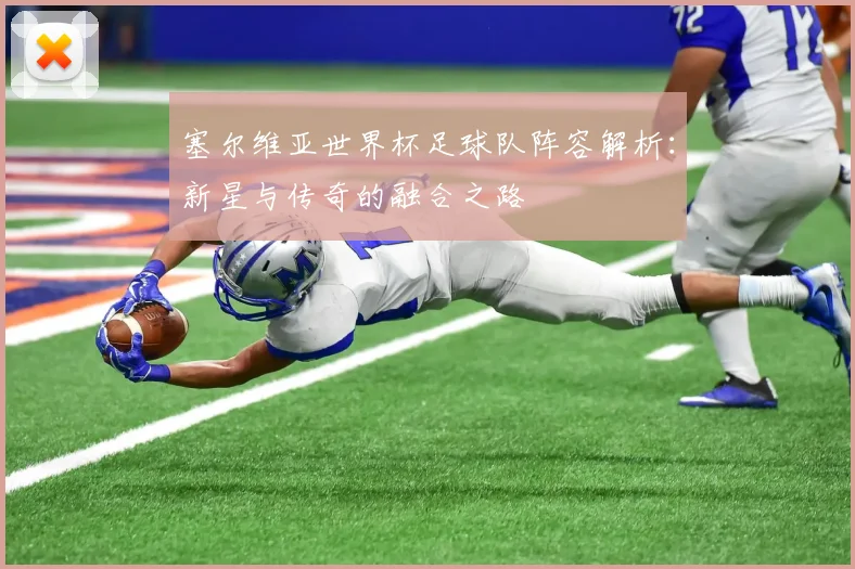 塞尔维亚世界杯足球队阵容解析：新星与传奇的融合之路