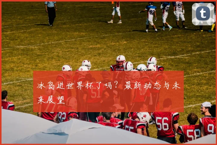 冰岛进世界杯了吗？最新动态与未来展望