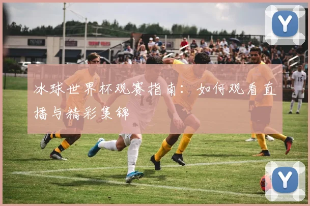 冰球世界杯观赛指南：如何观看直播与精彩集锦
