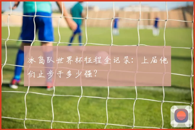 冰岛队世界杯征程全记录：上届他们止步于多少强？