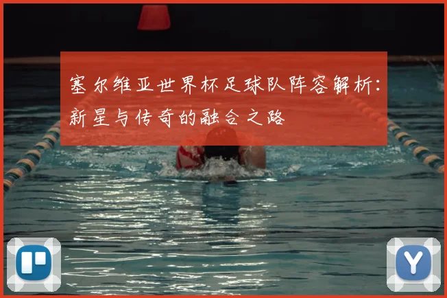 塞尔维亚世界杯足球队阵容解析：新星与传奇的融合之路