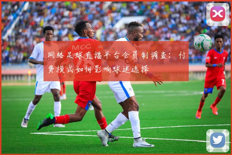 网络足球直播平台会员制调查：付费模式如何影响球迷选择