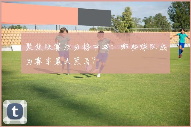 聚焦联赛积分榜中游：哪些球队成为赛季最大黑马？