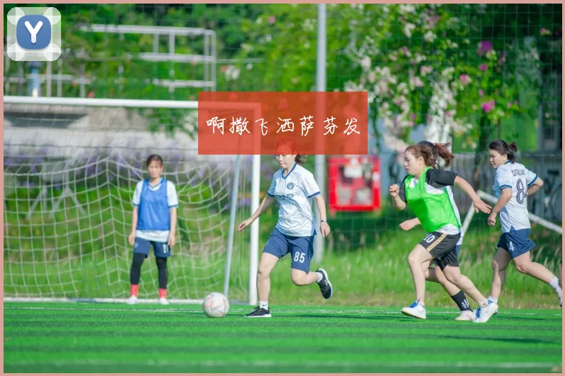 葡萄牙欧锦赛决赛加时1比0击败法国 埃德尔决胜进球首捧大赛冠军